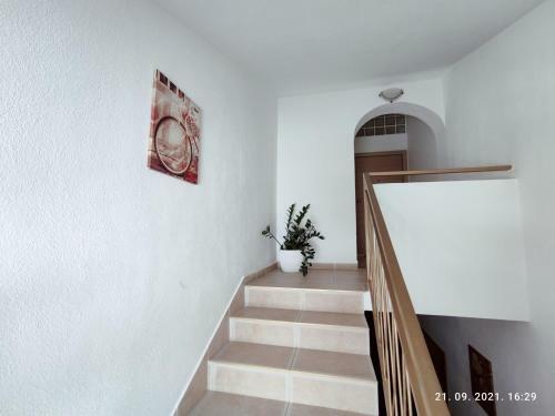 Apartamentos Villa Tony