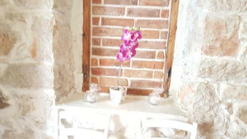 Apartment Elda