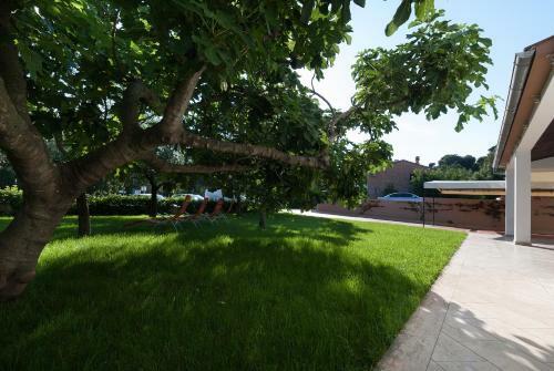 Weis Apartments