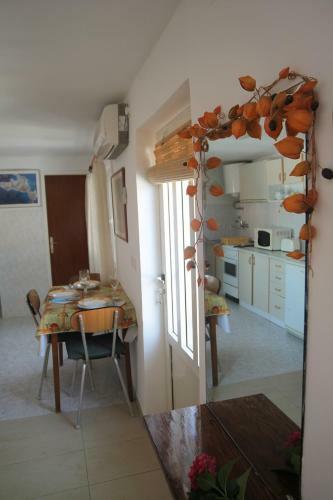 Apartments Tereza