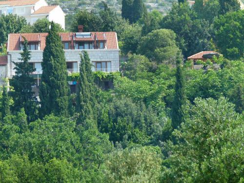Apartment Ora�ac 1