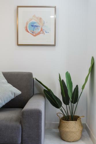 Apartamentos La Brujula By Cadizrentals