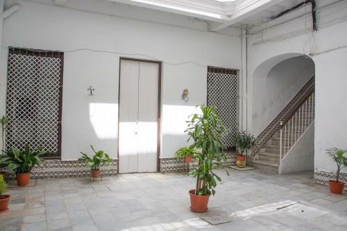 Apartamento Cadiz Centro Hist�rico