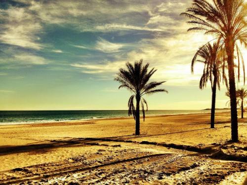 Apartamento Sunny Duplex In Front Of Campello Beach