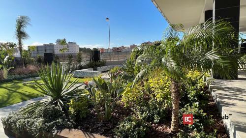 Apartamento Los Abedules 1b By Bravos Club