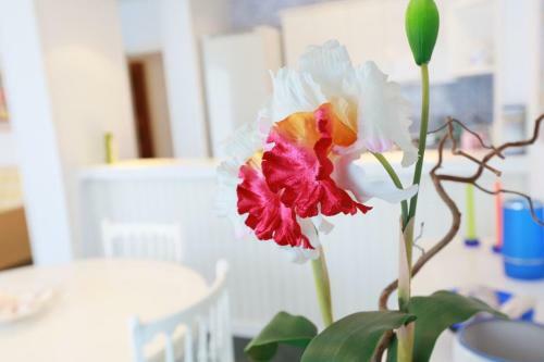 Apartamento Dms En Cambrils 13241 Family Complex