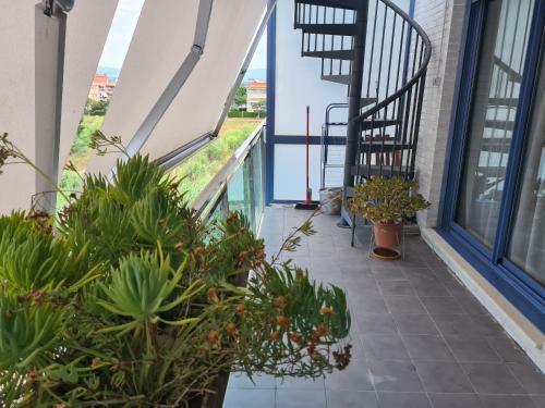 Apartamento Brisa Marina