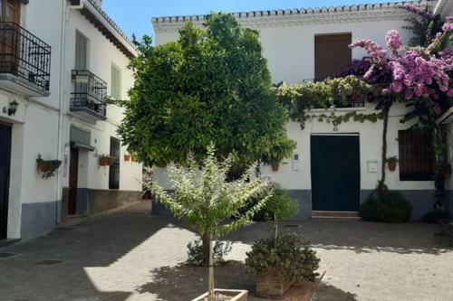Casa Rural Luna, Conchar, Lecrin Valley, Granada