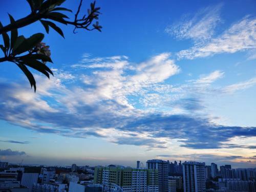 Master Bedroom With Toilet