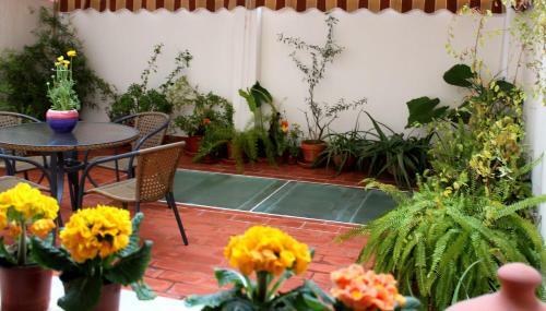 Apartamento Con Patio Cerca Mezquita