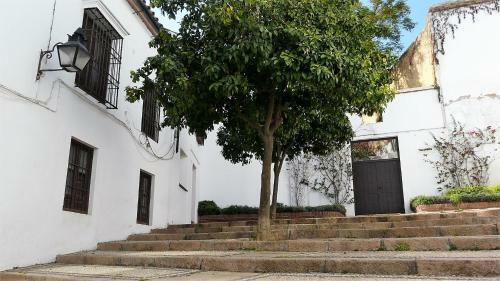 Apartamento Lola5