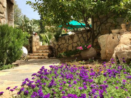 Hotel Villa Tokur