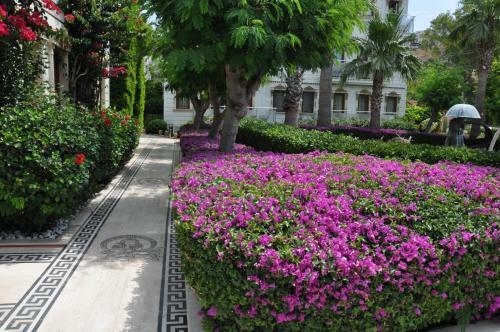 Hotel Golden Beach Bodrum