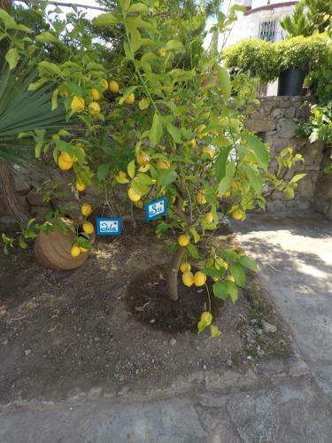 Panorama Hotel Bodrum