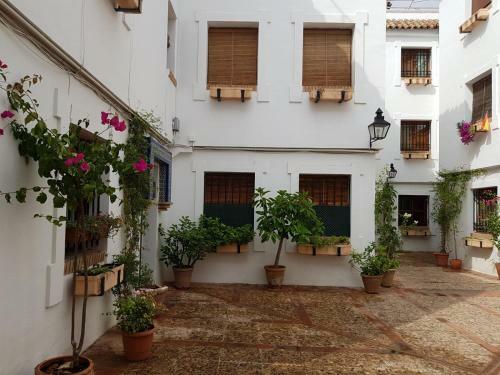 Apartamento El Patio de La Aljama