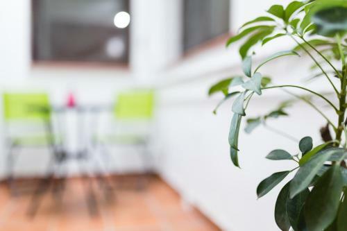 Apartamento Porta Nova�s Home