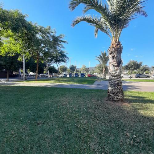 Apartamento Piso C�ntrico Con Piscina,parking Y Jacuzzi