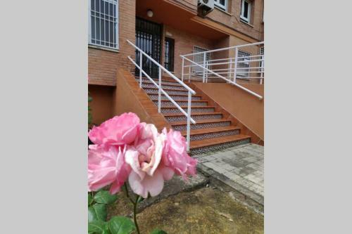 Apartamento Alquiler Vacacional Carlos III