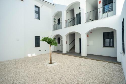 Em21 Apartamentos