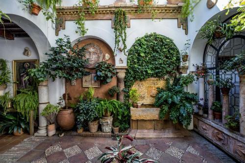 Apartamento Con Patio Cordob�s En San Basilio