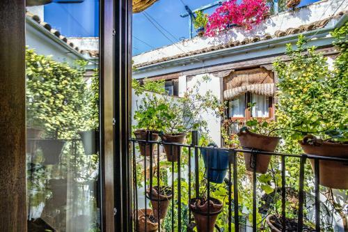Apartamento Con Patio Cordob�s En San Basilio