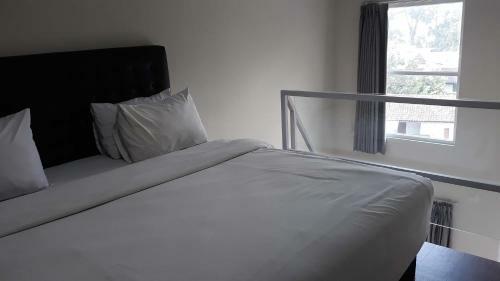 Amaryllis Hotels