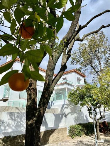 Apartamento Nuevo! Los Almendros 304 Complejo Tur�stico