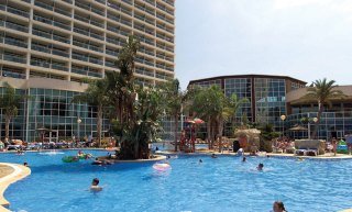 Hotel Flamingo Oasis