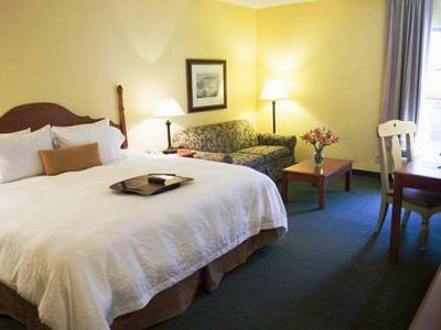 Hotel Hampton Inn And Suites Convention Center