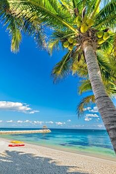 Hotel Marina El Cid Spa & Beach Resort All Inclusive