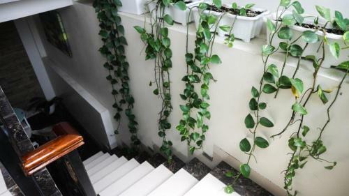 St 1 Villa/homestay With Private Pool And Jacuzzi