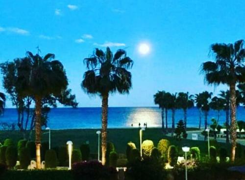 Apartamento Primera L�nea de Playa Marina D'or