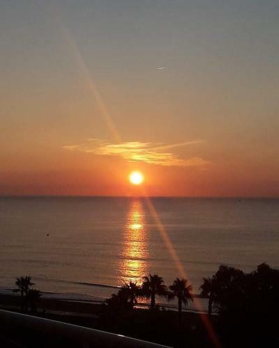 Apartamento Primera L�nea de Playa Marina D'or