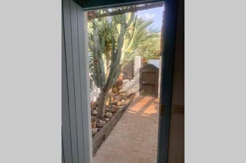 Apartamento Casa El Drago