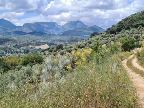 Casa Alta Holiday Home