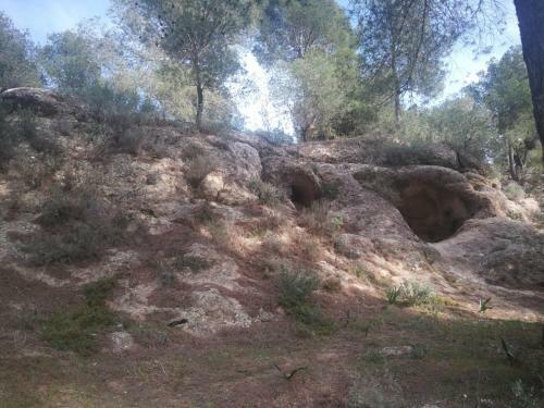 Alojamiento Rural El Para�so Del Chorro