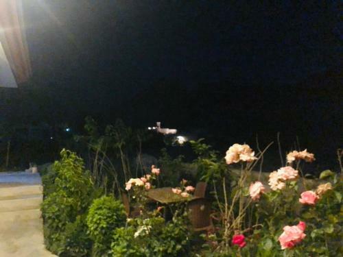 Hostal Green Guest House Altit Hunza