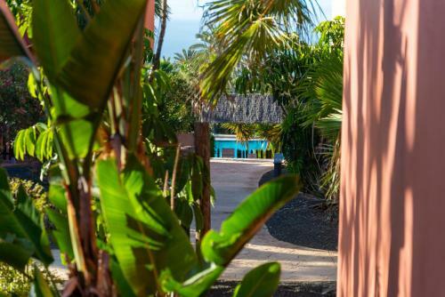 Apartamento El Jasmine
