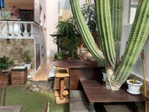 Albergue Corralejo Garden&relax