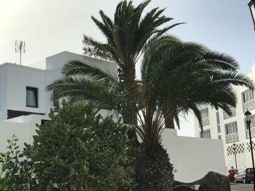 Apartamento Casa Federico