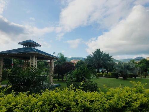 Stunning Hill View Apartment/ 2br/ Central City