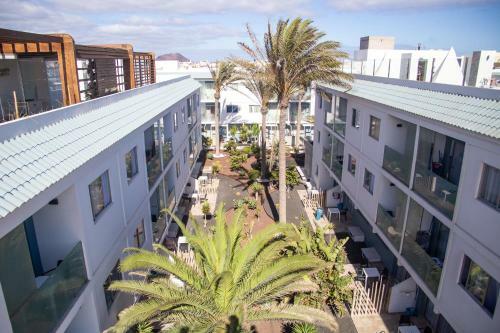 Apartment Orqu�dea