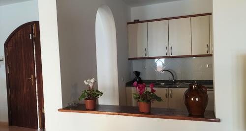 Villa Tamarindo 5