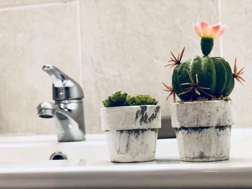 Apartamento Cactus Lodge