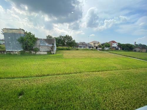 Villa Oasis Penthouse In Rice Field