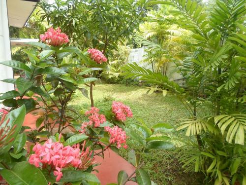 Bed & Breakfast Indrani Inn Tourist Rest