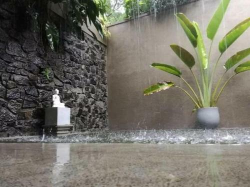 Anuradhapura Secret Sanctuary Resort