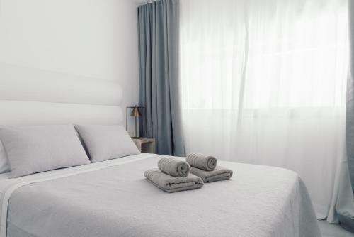 Apartment Guirre