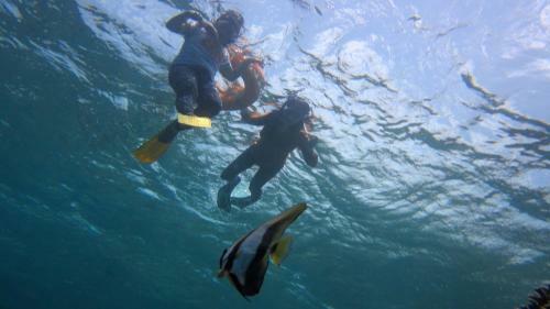 Hostal Menjangan Bali Homestay