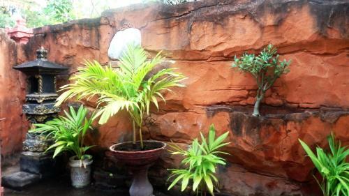 Hostal Menjangan Bali Homestay